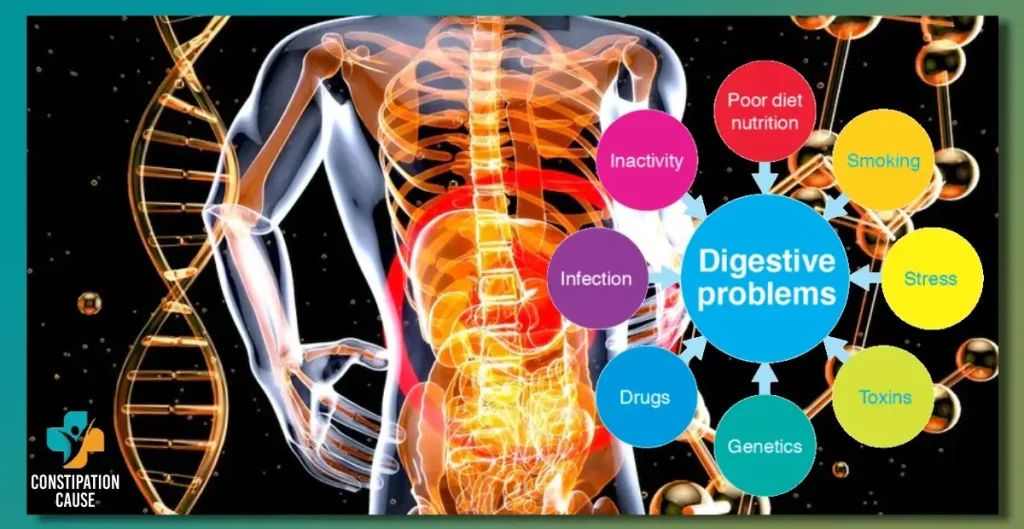 Factors Influencing Digestive Health