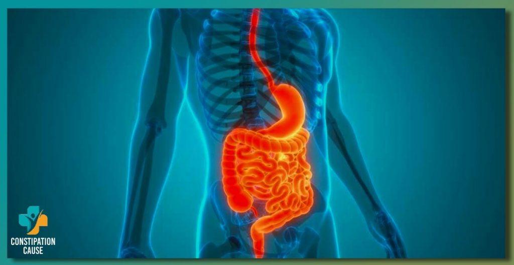 Mono’s connection to digestive problems
